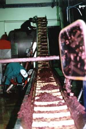 Flighted Incline Belt Conveyor