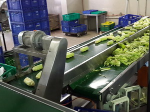Horizontal Vegetable Sorting Conveyors