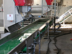 Horizontal Stalk Belt Conveyor