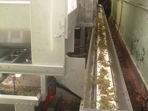 Horizontal Stalk Conveyor