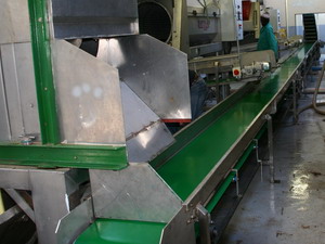 Belt Conveyor