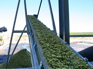 Trough Belt Conveyor