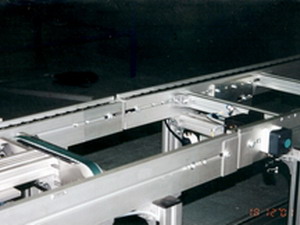 Chain Conveyor