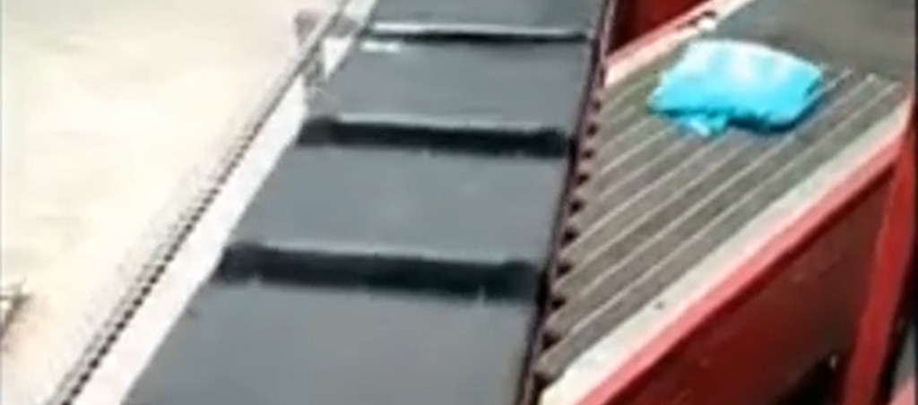 Cross Belt Sorter Conveyor 1