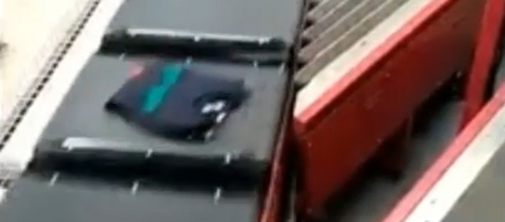 Cross Belt Sorter Conveyor 1