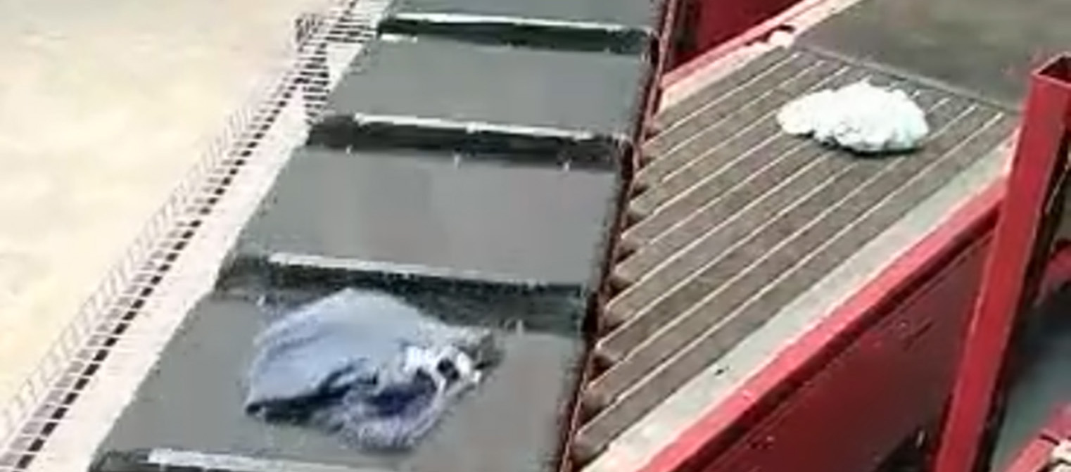 Cross Belt Sorter Conveyor 2