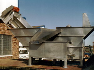 Fish Industy Conveyor