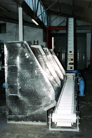 Fish Industy Conveyor