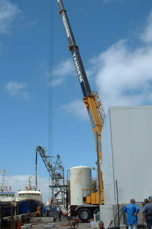 Fish Industy Conveyor