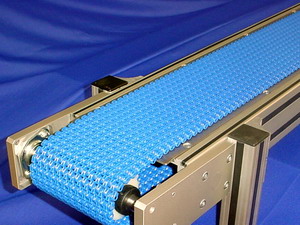 Fish Industy Conveyor