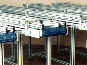 Fish Industy Conveyor