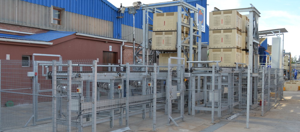 Fruit Crate Emtying Conveyors