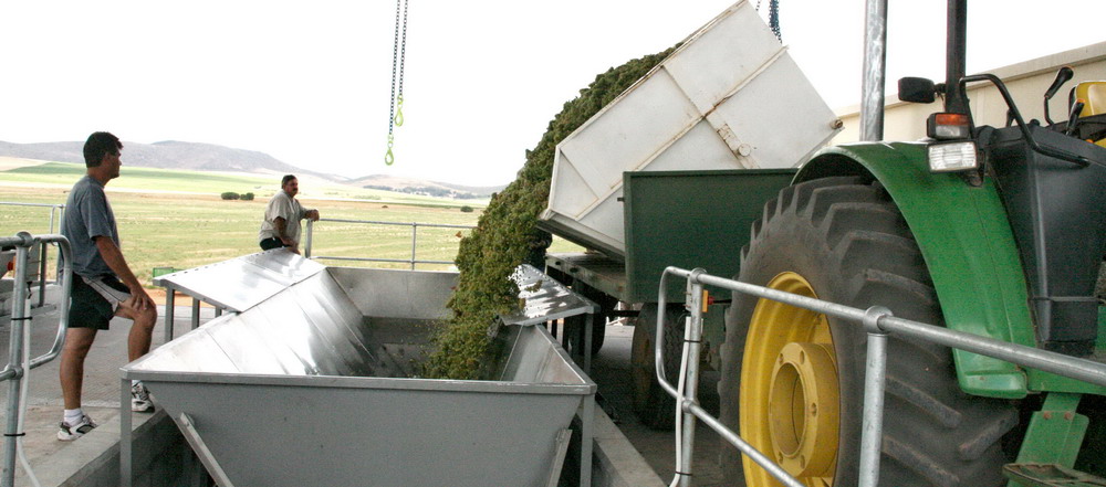 Grape Offloading Bin