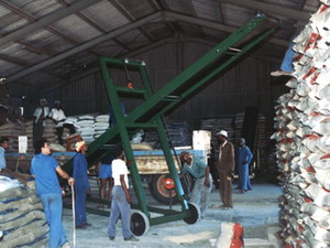 Bag Stacking Conveyor