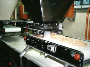 Food Industry Conveyor Systems