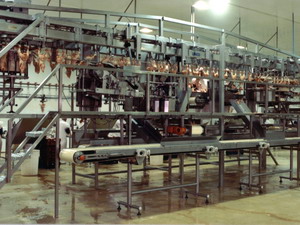 Poultry Industry Conveyor Systems