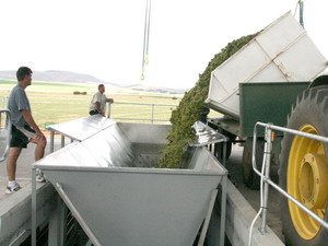 Wine Industy Conveying Sytems