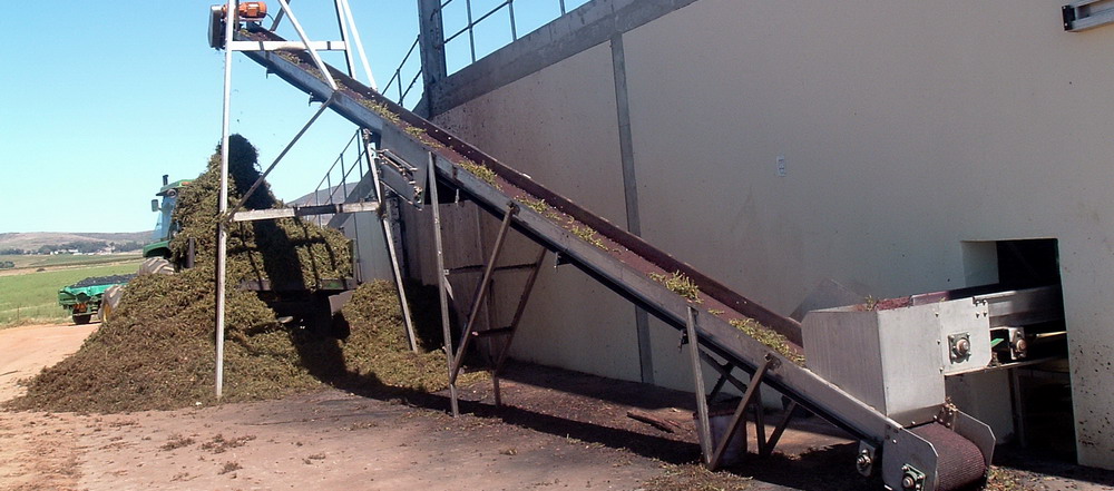 Truck Loading Conveyor 4