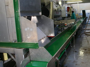 Horizontal Belt Conveyor