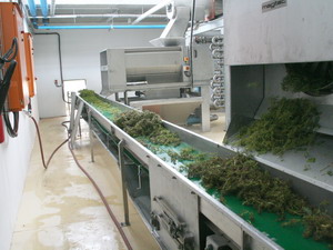 Horizontal Belt Conveyor