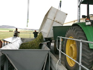 Offloading Bin