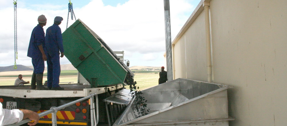 Wine Industry Conveyor 2