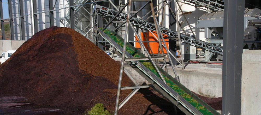 Wine Industry Conveyor 5