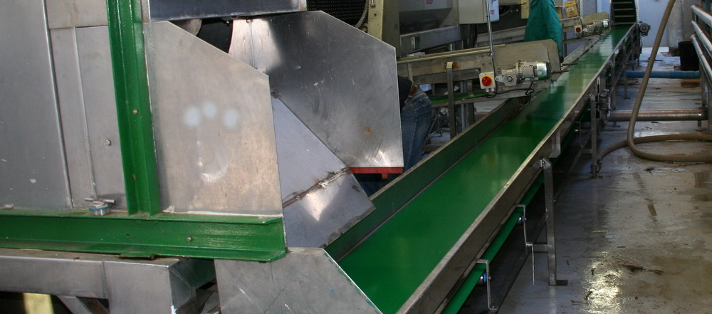 Wine Industry Conveyor 7