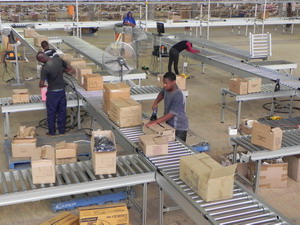 Zero Pressure Accumulations Conveyors with MDR